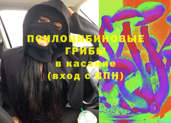 дживик Верея