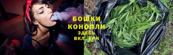дживик Верея
