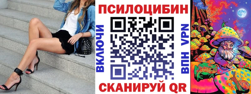 Купить закладки  Луга  Псилоцибиновые грибы мухоморы 